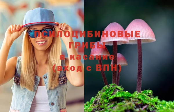 не бодяженный Алексин