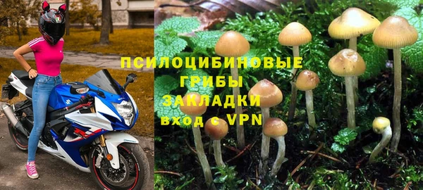 каннабис Алзамай