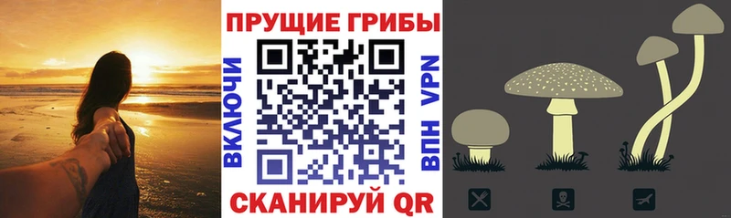 Галлюциногенные грибы прущие грибы  Полярный 